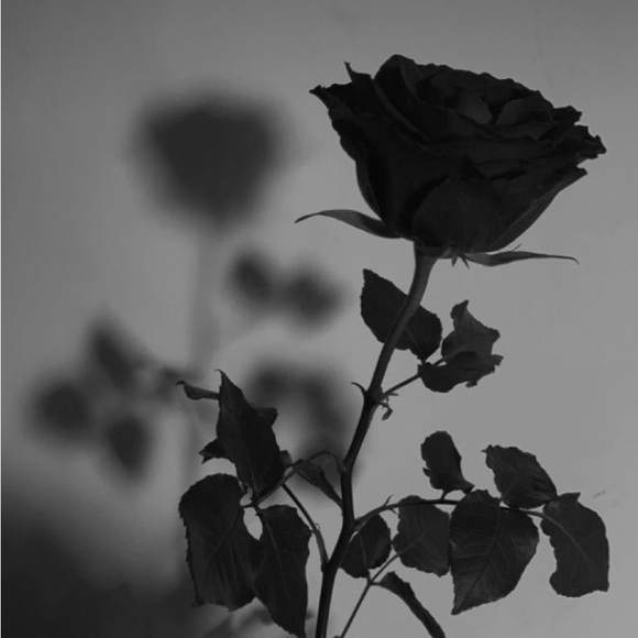 Meet your Posher, Maarukh - Picture 1 of 1